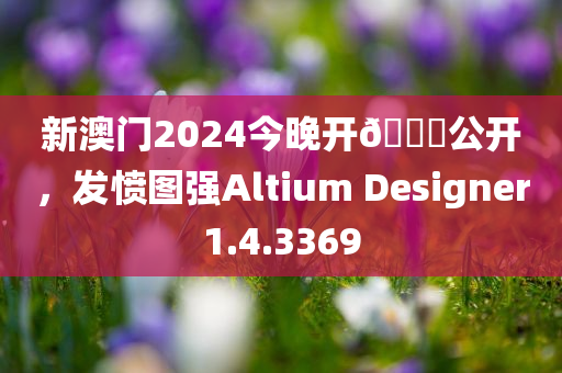 新澳门2024今晚开🐎公开，发愤图强Altium Designer1.4.3369