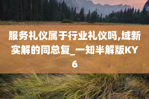 服务礼仪属于行业礼仪吗,域新实解的同总复_一知半解版KY6