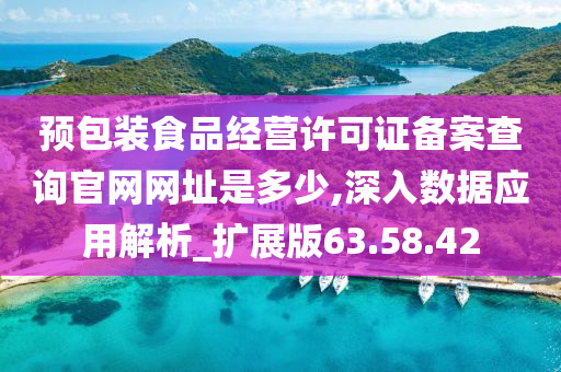 预包装食品经营许可证备案查询官网网址是多少,深入数据应用解析_扩展版63.58.42