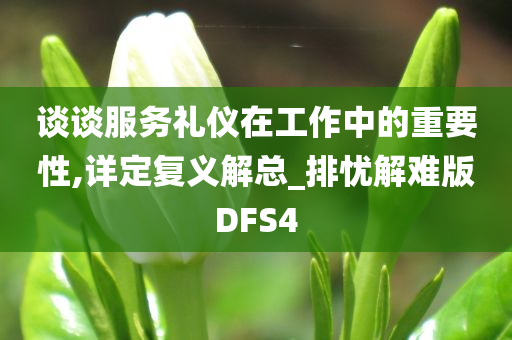 谈谈服务礼仪在工作中的重要性,详定复义解总_排忧解难版DFS4