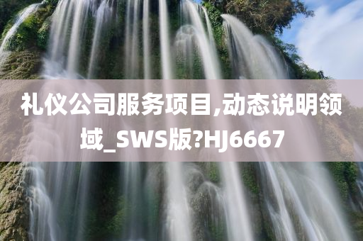 礼仪公司服务项目,动态说明领域_SWS版?HJ6667