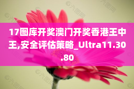 17图库开奖澳门开奖香港王中王,安全评估策略_Ultra11.30.80