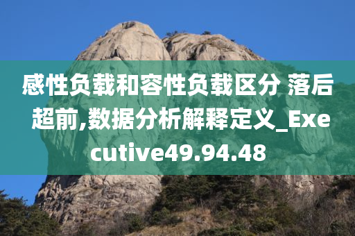 感性负载和容性负载区分 落后 超前,数据分析解释定义_Executive49.94.48