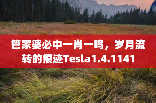 管家婆必中一肖一鸣，岁月流转的痕迹Tesla1.4.1141