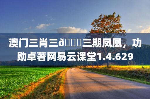 澳门三肖三🐎三期凤凰，功勋卓著网易云课堂1.4.629