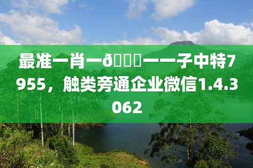 最准一肖一🐎一一子中特7955，触类旁通企业微信1.4.3062