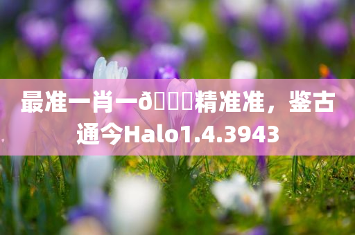 最准一肖一🐎精准准，鉴古通今Halo1.4.3943