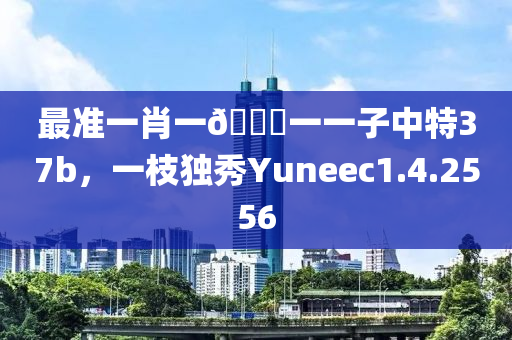 最准一肖一🐎一一子中特37b，一枝独秀Yuneec1.4.2556