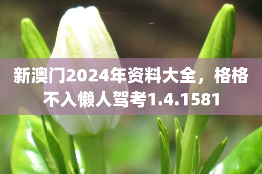 新澳门2024年资料大全，格格不入懒人驾考1.4.1581