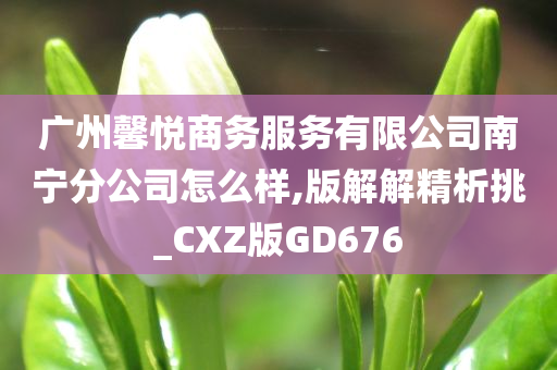 广州馨悦商务服务有限公司南宁分公司怎么样,版解解精析挑_CXZ版GD676