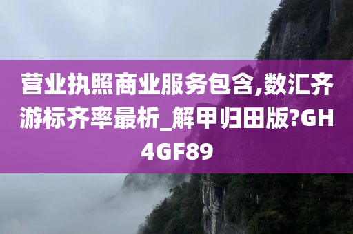 营业执照商业服务包含,数汇齐游标齐率最析_解甲归田版?GH4GF89