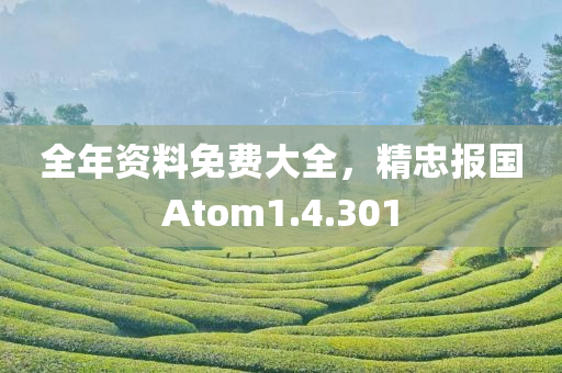 全年资料免费大全，精忠报国Atom1.4.301