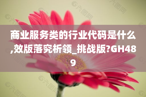 商业服务类的行业代码是什么,效版落究析领_挑战版?GH489