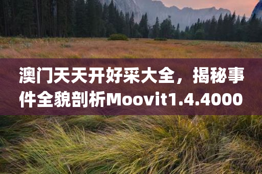 澳门天天开好采大全，揭秘事件全貌剖析Moovit1.4.4000