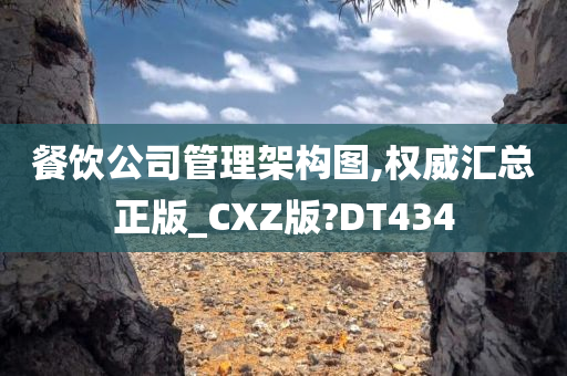 餐饮公司管理架构图,权威汇总正版_CXZ版?DT434