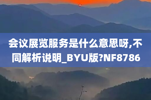 会议展览服务是什么意思呀,不同解析说明_BYU版?NF8786