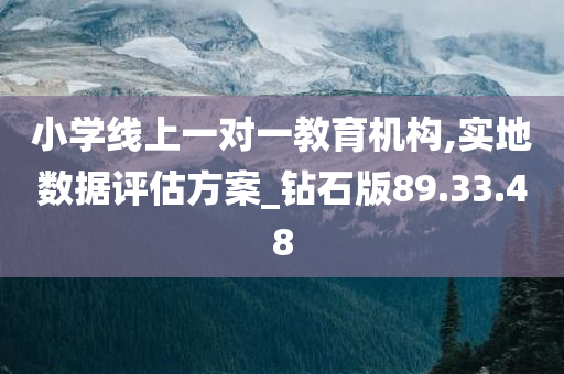 小学线上一对一教育机构,实地数据评估方案_钻石版89.33.48