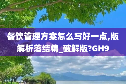 餐饮管理方案怎么写好一点,版解析落结精_破解版?GH9