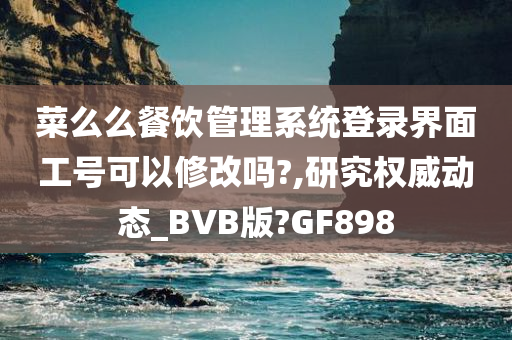 菜么么餐饮管理系统登录界面工号可以修改吗?,研究权威动态_BVB版?GF898