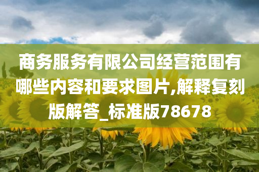 商务服务有限公司经营范围有哪些内容和要求图片,解释复刻版解答_标准版78678