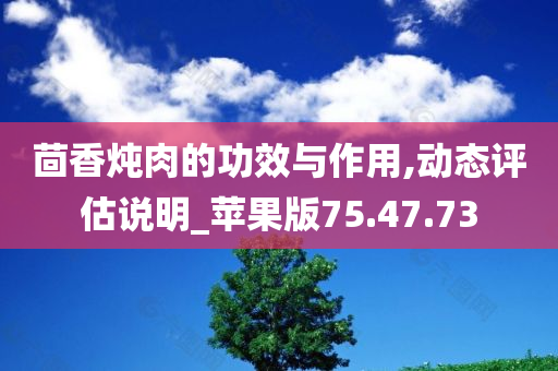 茴香炖肉的功效与作用,动态评估说明_苹果版75.47.73