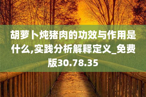 胡萝卜炖猪肉的功效与作用是什么,实践分析解释定义_免费版30.78.35