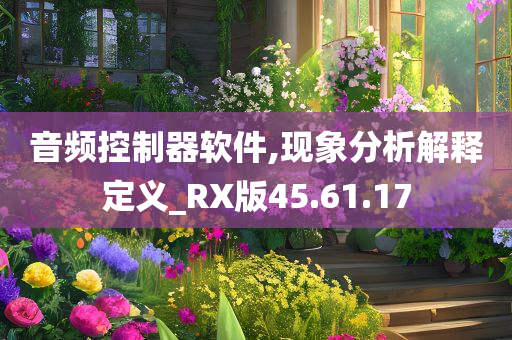 音频控制器软件,现象分析解释定义_RX版45.61.17