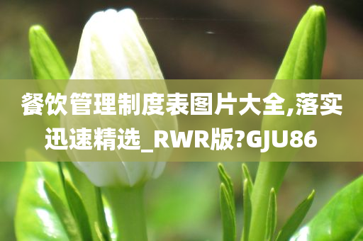 餐饮管理制度表图片大全,落实迅速精选_RWR版?GJU86