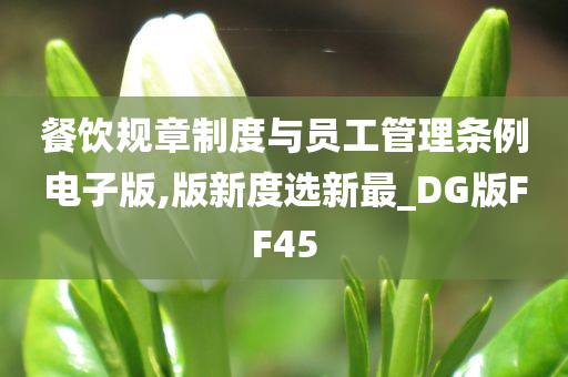 餐饮规章制度与员工管理条例电子版,版新度选新最_DG版FF45