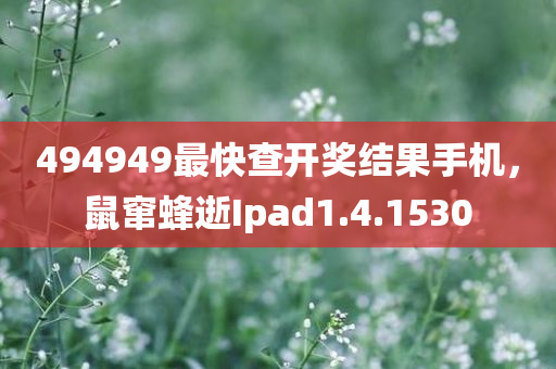 494949最快查开奖结果手机，鼠窜蜂逝Ipad1.4.1530