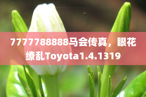 7777788888马会传真，眼花缭乱Toyota1.4.1319