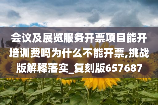 会议及展览服务开票项目能开培训费吗为什么不能开票,挑战版解释落实_复刻版657687