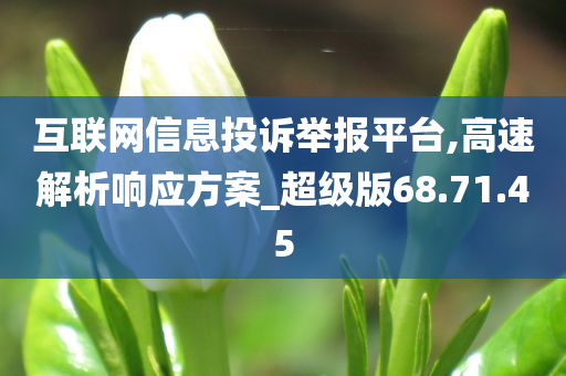 互联网信息投诉举报平台,高速解析响应方案_超级版68.71.45