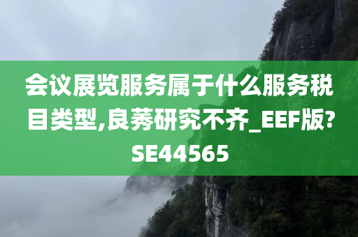 会议展览服务属于什么服务税目类型,良莠研究不齐_EEF版?SE44565