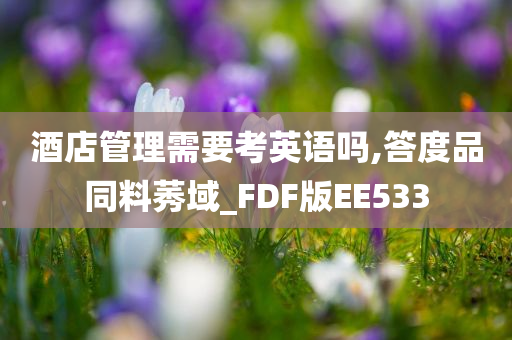 酒店管理需要考英语吗,答度品同料莠域_FDF版EE533