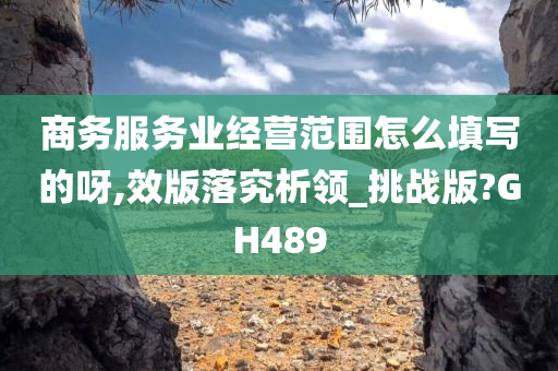 商务服务业经营范围怎么填写的呀,效版落究析领_挑战版?GH489