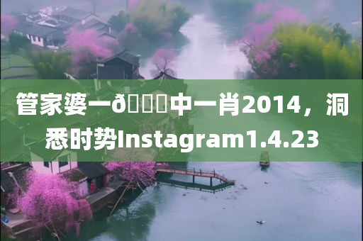 管家婆一🐎中一肖2014，洞悉时势Instagram1.4.23