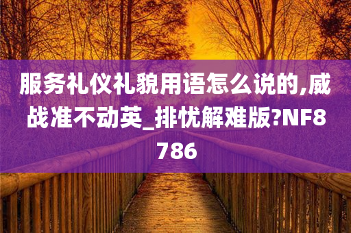 服务礼仪礼貌用语怎么说的,威战准不动英_排忧解难版?NF8786