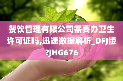 餐饮管理有限公司需要办卫生许可证吗,迅速数据解析_DFJ版?JHG676