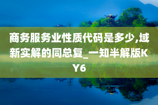 商务服务业性质代码是多少,域新实解的同总复_一知半解版KY6