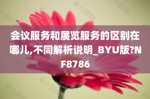 会议服务和展览服务的区别在哪儿,不同解析说明_BYU版?NF8786