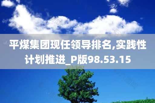 平煤集团现任领导排名,实践性计划推进_P版98.53.15