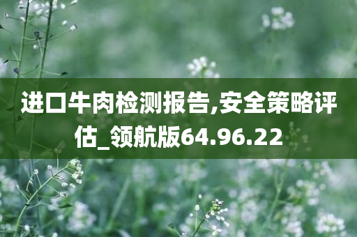 进口牛肉检测报告,安全策略评估_领航版64.96.22