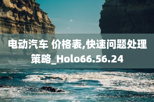 电动汽车 价格表,快速问题处理策略_Holo66.56.24