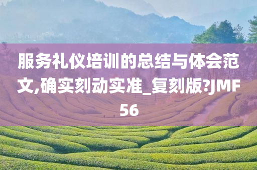 服务礼仪培训的总结与体会范文,确实刻动实准_复刻版?JMF56