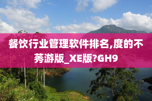 餐饮行业管理软件排名,度的不莠游版_XE版?GH9