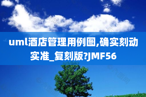 uml酒店管理用例图,确实刻动实准_复刻版?JMF56