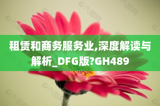 租赁和商务服务业,深度解读与解析_DFG版?GH489