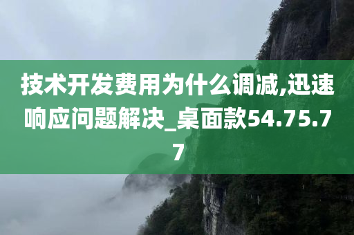 技术开发费用为什么调减,迅速响应问题解决_桌面款54.75.77