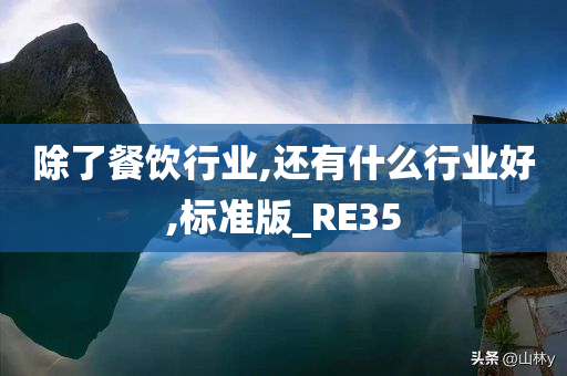 除了餐饮行业,还有什么行业好,标准版_RE35